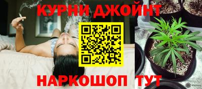 крисы Кандалакша