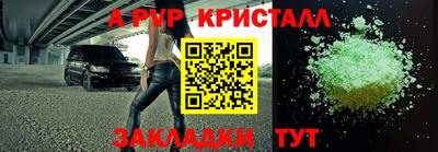 крисы Кандалакша