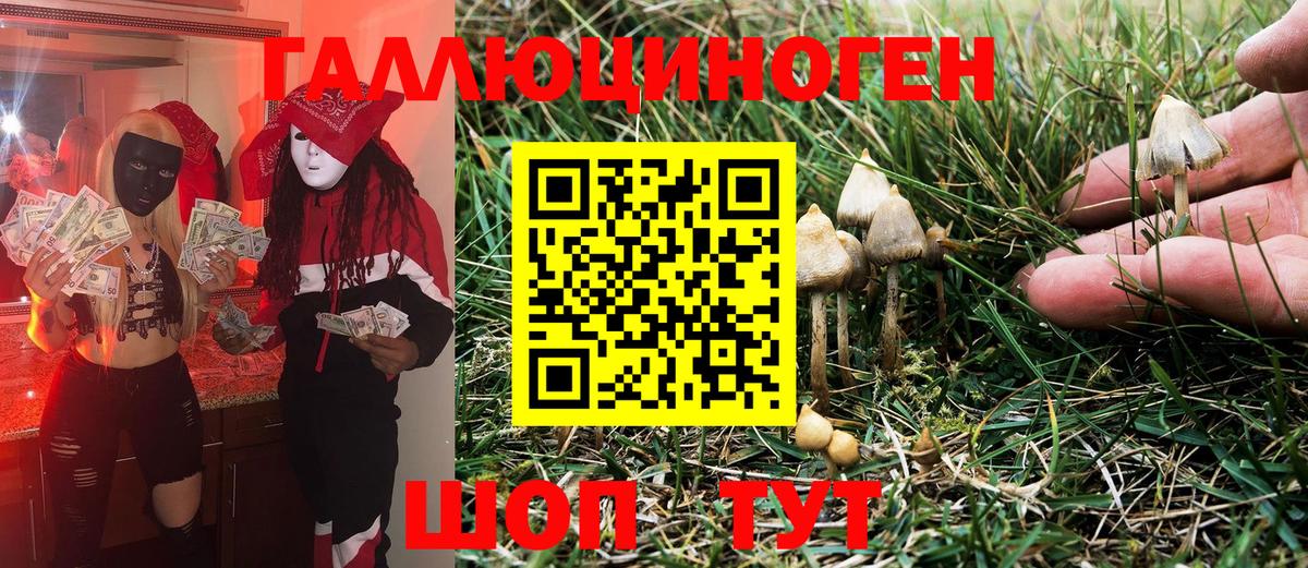 Крымск  Галлюциногенные грибы Magic Shrooms  Вход с VPN  Псилоцибиновые грибы мухоморы 